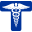 David Tvildiani Medical University logo